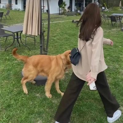 阿姐响叮当